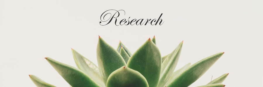 Subheading graphic with text overlay that says Research on How to Plan a Funeral. Background is a cactus.