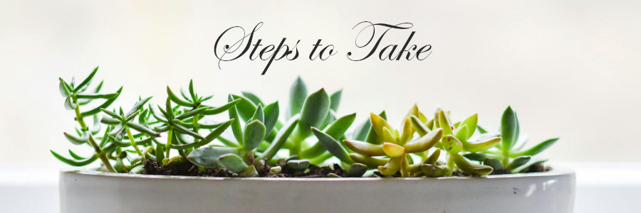 Subheading graphic with text overlay that says Steps to Take in Funeral Planning. Background is a cactus.
