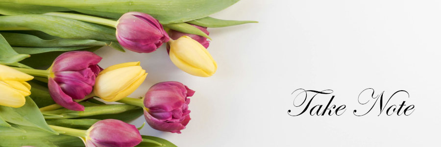 Subheading graphic with text overlay that says Burial Plot Cost - Take Note. Background is grey with yellow and purple tulips.