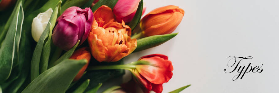 Subheading graphic with text overlay that says Types of Burial Plots and Burial Plot Cost. Background is grey with colourful tulips.