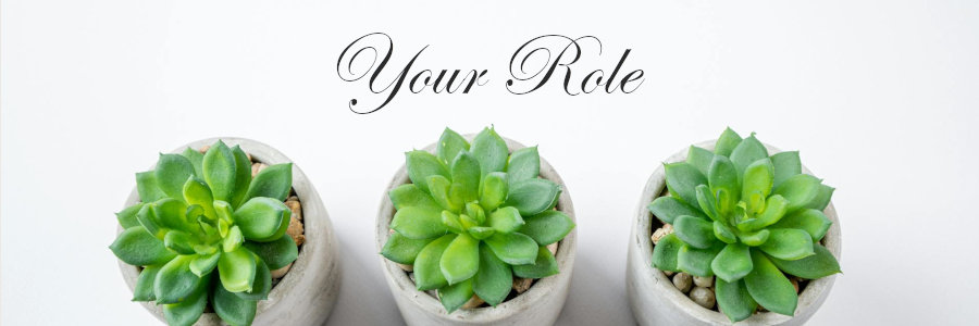 Subheading graphic with text overlay that says Your Role When it Come to How to Plan a Funeral. Background is three cactus in pots.