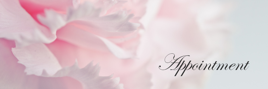 Subheading graphic with text overlay: How to Choose a Funeral Home Step 3:&nbsp; Schedule a Appointment. Background is a pink carnation.