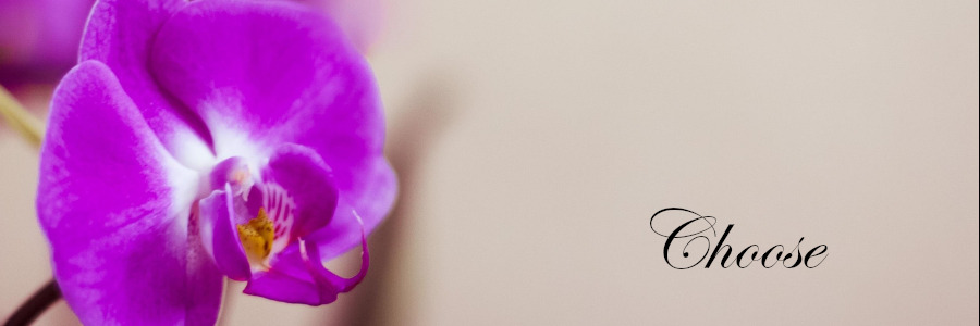 Subheading graphic with text overlay that states "Choose a Cremation Provider." Background is an orchid.