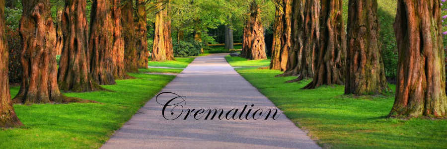 Subheading graphic with text overlay that says cremation burial options. The background is row of trees and path.