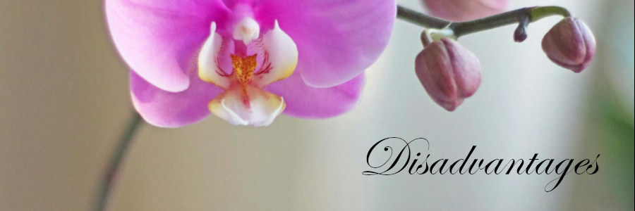 Subheading graphic with text overlay that states "Disadvantages of Cremation." Background is an orchid.