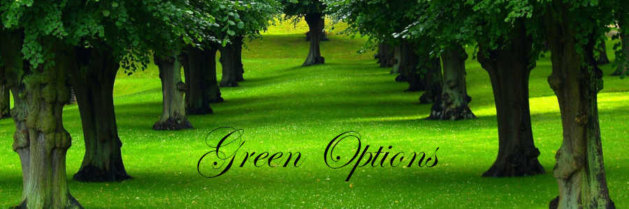 Subheading graphic with text overlay that says green burial options. The background is row of trees and green grass.