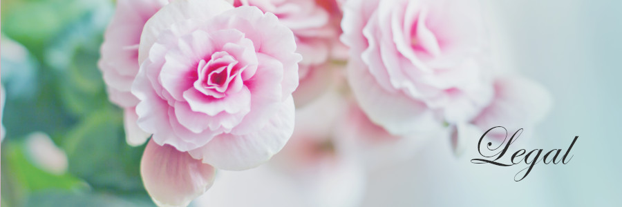 Subheading graphic with text overlay: How to Choose a Funeral Home Step 7:&nbsp; Review & Sign the Contract. Background is a pink baby carnations.