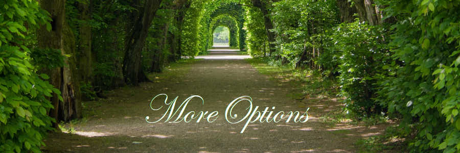 Subheading graphic with text overlay that says alternative burial options. The background is tunnel of trees.