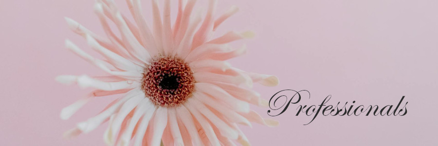 Subheading graphic with text overlay: How to Choose a Funeral Home Step 6:&nbsp; Select Professionals. Background is a pink gerbra daisy.