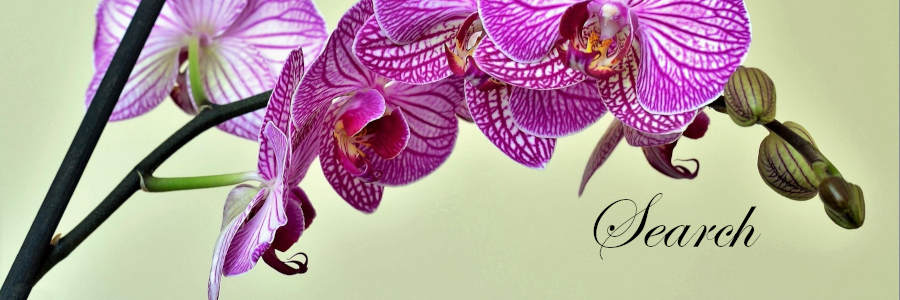 Subheading graphic with text overlay that states "Search for Cremation Providers." Background is an orchid.