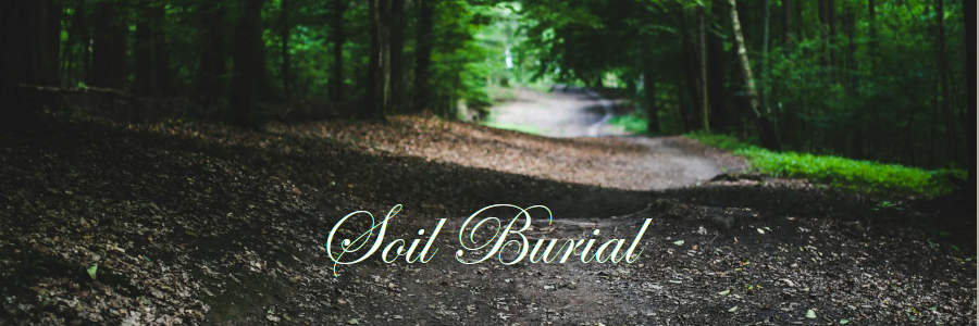 Subheading graphic with text overlay that says ground burial options. The background is a forest of trees.